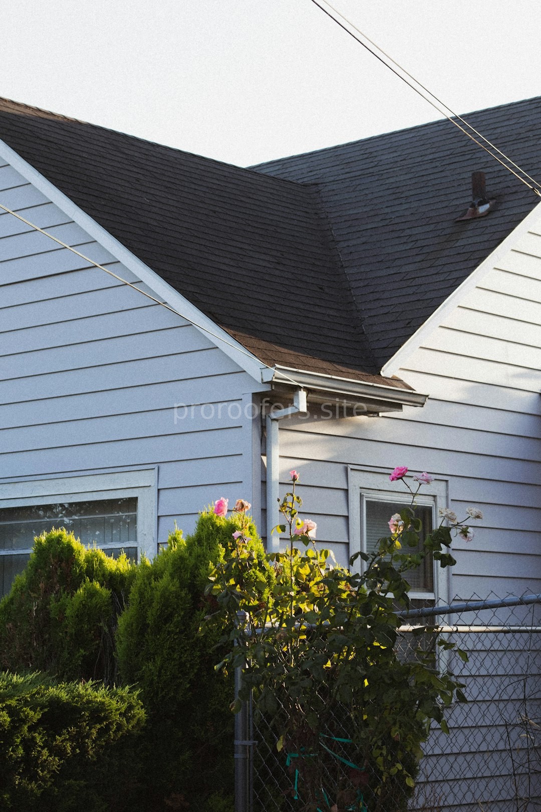 Gallery 1